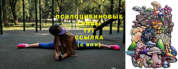 тгк Михайловка