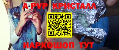 шишки Новодвинск