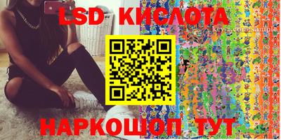 шишки Новодвинск