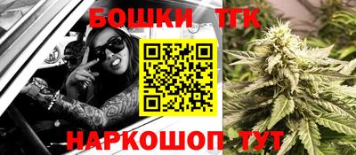 шишки Новодвинск