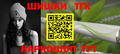 шишки Новодвинск