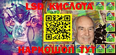 шишки Новодвинск