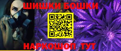 шишки Новодвинск