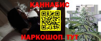 шишки Новодвинск