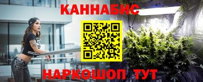 шишки Новодвинск