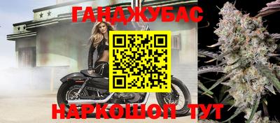 трава Новозыбков