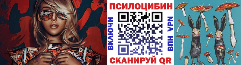 Галлюциногенные грибы Cubensis  Электросталь 