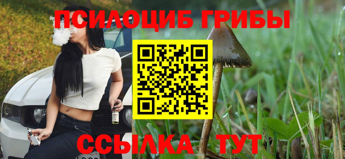 Галлюциногенные грибы Psilocybe Электросталь